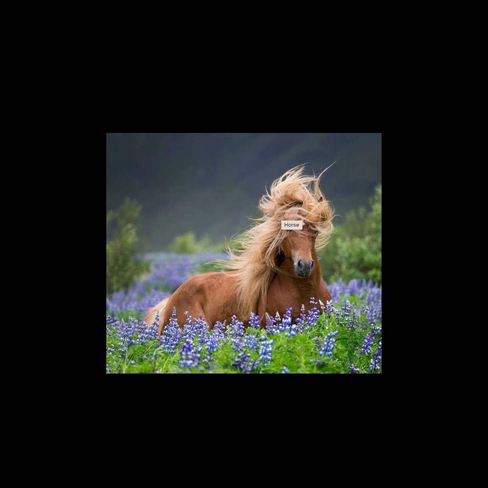 Meet your Posher, Meagan